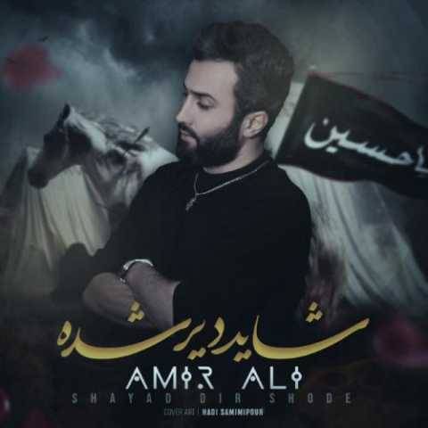 دانلود آهنگ جدید امیر علی شاید دیر شده